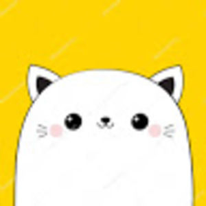 Meet your Posher, Tashi